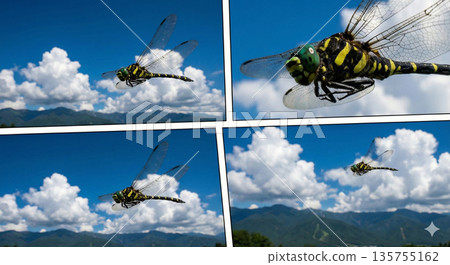 積雨雲和巨型蜻蜓。 135755162