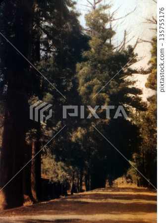 Old photo of Nikko Cedar Avenue from 1953-1954 Old photo of Nikko Cedar Avenue from 1953-1954 135755176