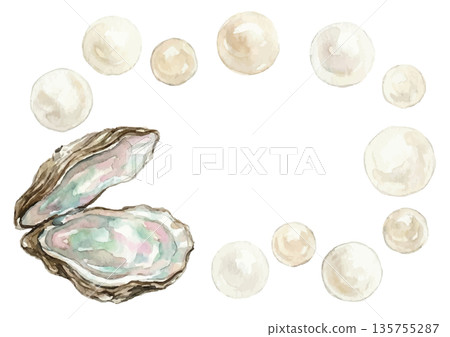 水彩風格珍珠插畫 135755287