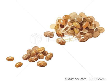Watercolor style natto illustration 135755288