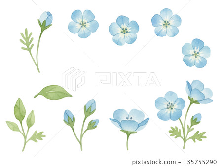 水彩風格的粉蝶插圖集 135755290