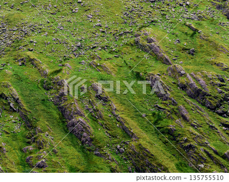 Rugged mountain slope densely covered with vibrant green grass and numerous grey rocks. This natural landscape appears steep and textured, bathed in daylight, showcasing an untamed environment. Rugged mountain slope densely covered with vibrant green grass and numerous grey rocks. This natural landscape appears steep and textured, bathed in daylight, showcasing an untamed environment. 135755510