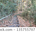 健行小徑：落葉和台階 135755707
