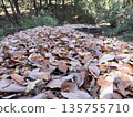 健行小徑上堆積著落葉 135755710