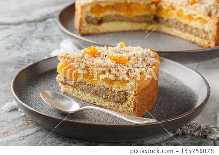 Dried fruit and nut layered cake close-up on a plate. Horizontal Dried fruit and nut layered cake close-up on a plate. Horizontal 135756078