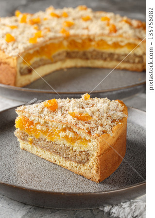 Layered pie with dried apricots and ground nuts close-up in a plate. Vertical Layered pie with dried apricots and ground nuts close-up in a plate. Vertical 135756082