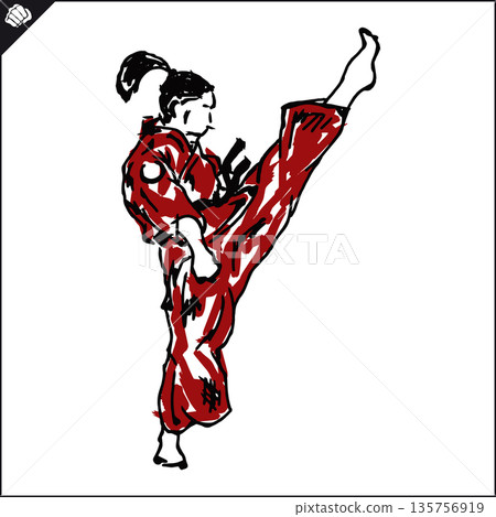 Martial art colored simbol design. Karate emblem. 135756919