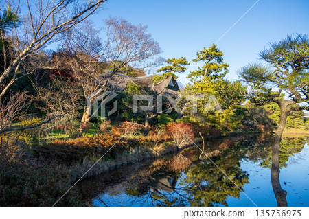 橫濱三溪園,日式庭園景色,松樹倒映在池塘中。 橫濱三溪園,日式庭園景色,松樹倒映在池塘中。 135756975