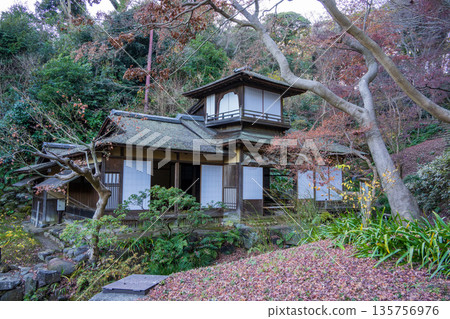 三溪園日式庭園的傳統日式建築與秋景 135756976