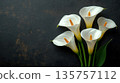Beautiful bouquet of white calla lilies against a textured black background. Funeral symbol 135757112