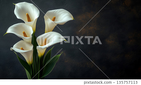 Beautiful bouquet of white calla lilies against a textured black background. Funeral symbol 135757113