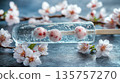 3D rendering glass transparent ice popsicle cherries frozen inside, placed textured surface surrounded blooming cherry blossoms 135757270