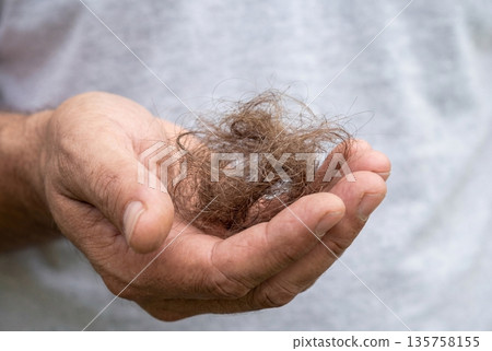 Hand holding clump of tangled brown fallen hair close-up 135758155
