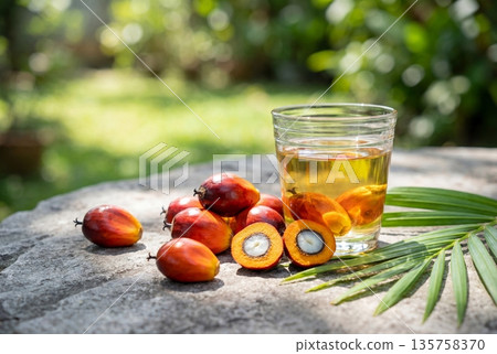 Fresh red palm oil fruits and a glass of golden oil on a stone surface with green nature background 135758370