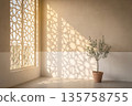 Potted Olive Tree Casting Geometric Shadows in Minimalist Sunny Room with Modern Design. 135758755