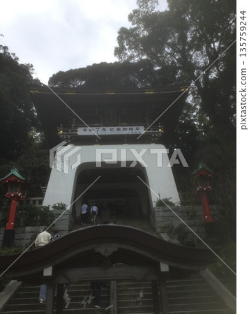 Kamakura & Enoshima Walk 2025 Kamakura & Enoshima Walk 2025 135759244