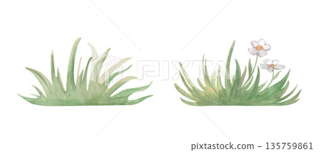 A set of two bunches of green grass with and without white flowers, in natural tones. Watercolor illustration on an isolated background. A botanical clipart with an image of grass for summer decor. 135759861