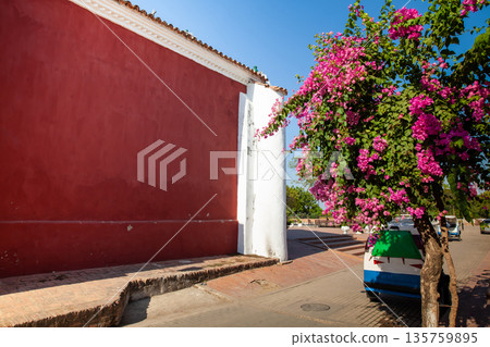 Beautiful Buganvilia plants at the colonial streets of the Heritage Town of Santa Cruz de Mompox in Colombia. 135759895