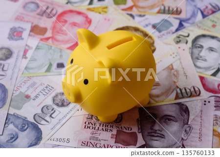 A piggy bank as a concept for storing, accumulating, and saving financial resources. A piggy bank 135760133