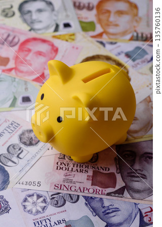 A piggy bank as a concept for storing, accumulating, and saving financial resources. A piggy bank 135760136