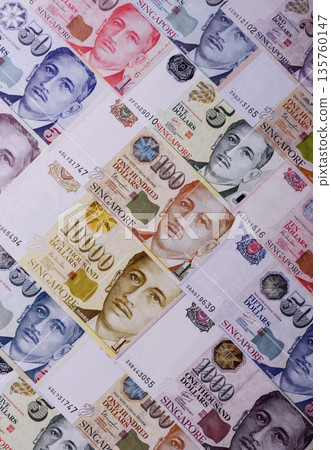 Money, currency of Singapore, dollar banknotes of various denominations. Singapore money 135760147