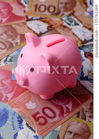 A piggy bank as a concept for storing, accumulating, and saving financial resources 135761066