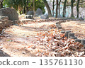 冬日公園步道，陽光透過樹木和堆積的落葉灑下斑駁的光影（步道） 135761130
