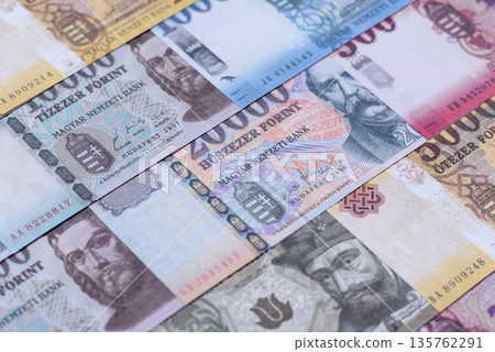 Hungarian forint, cash, currency of Hungary, banknotes for financial transactions. Hungarian forint Hungarian forint, cash, currency of Hungary, banknotes for financial transactions. Hungarian forint 135762291