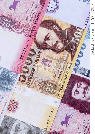 Hungarian forint, cash, currency of Hungary, banknotes for financial transactions. Hungarian forint Hungarian forint, cash, currency of Hungary, banknotes for financial transactions. Hungarian forint 135762299