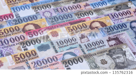 Hungarian forint, cash, currency of Hungary, banknotes for financial transactions. Hungarian forint Hungarian forint, cash, currency of Hungary, banknotes for financial transactions. Hungarian forint 135762316