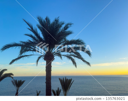 Sunset Over Ocean With Palm Tree Silhouettes and Sunburst 135763021