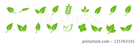 Green leaf icons set. Elements design for natural, eco, vegan. Leaves icon on isolated background. Collection green leaf. Vector 135763191