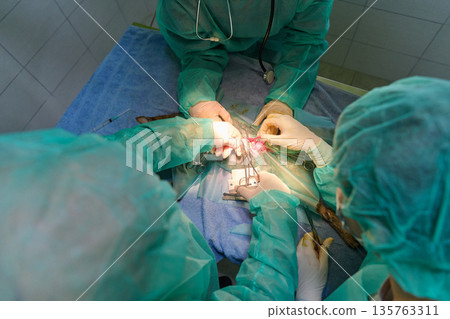 Surgical Team Performs Precise Operation In Operating Room Under Sterile Conditions Surgical Team Performs Precise Operation In Operating Room Under Sterile Conditions 135763311