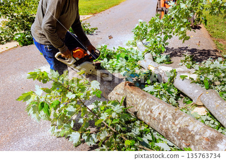 Contractor cuts tree branches along pathway with chainsaw in backyard after strong tornado Contractor cuts tree branches along pathway with chainsaw in backyard after strong tornado 135763734
