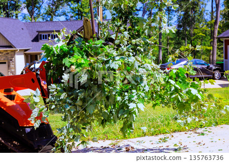 Service man uses equipment to clear branches from tree in yard in neighborhood after strong tornado Service man uses equipment to clear branches from tree in yard in neighborhood after strong tornado 135763736