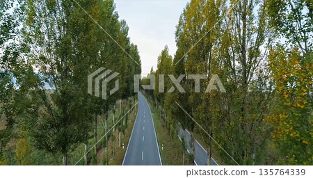 Calm Countryside Pathway Through Vibrant Trees, Quiet Rural Lane With Colorful Foliage Under Autumn Sky Calm Countryside Pathway Through Vibrant Trees, Quiet Rural Lane With Colorful Foliage Under Autumn Sky 135764339