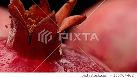 An Artistic Depiction Emphasizing Natural Beauty And Imperfections Of Pomegranate Calyx In Rustic Setting An Artistic Depiction Emphasizing Natural Beauty And Imperfections Of Pomegranate Calyx In Rustic Setting 135764468