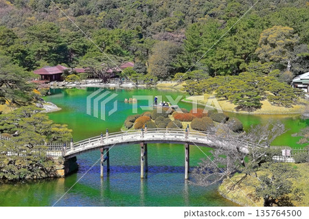 [Kagawa Prefecture] Ritsurin Garden in the spring when cherry blossoms bloom (Special Place of Scenic) 135764500