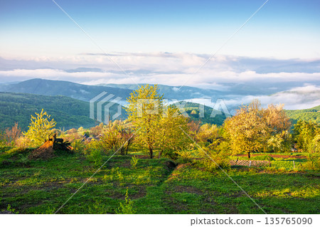 carpathian mountain landscape of ukraine in morning fog. lush green alpine meadows in spring. beautiful view in to the valley. blue sky with clouds on sunny morning. csr visual for esg report 135765090