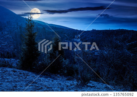carpathian mountains in early spring at night. tree stumps on rolling hills in full moon light. forest clearing. deforestation landscape under blue sky. background for fake news or conspiracy concepts carpathian mountains in early spring at night. tree stumps on rolling hills in full moon light. forest clearing. deforestation landscape under blue sky. background for fake news or conspiracy concepts 135765092
