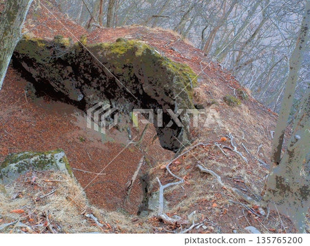 哈魯納山猴橋(afr20260121071457) 哈魯納山猴橋(afr20260121071457) 135765200