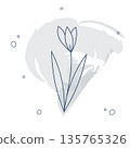 Elegant botanical line art illustration of a tulip. Modern organic element with a soft watercolor splash for eco-branding, packaging design, and spring decor 135765326