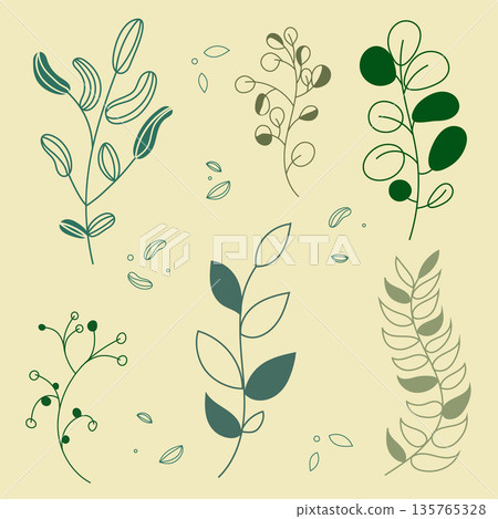 Large collection of modern floral elements. Six different leafy branches on a warm beige background. Universal set for eco-branding, logo design, natural cosmetic packaging, and spring patterns 135765328