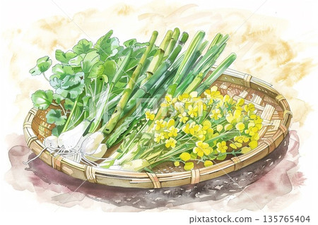A watercolor illustration of an assortment of fresh bamboo shoots, rape blossoms, and wild vegetables that evokes the arrival of spring 135765404