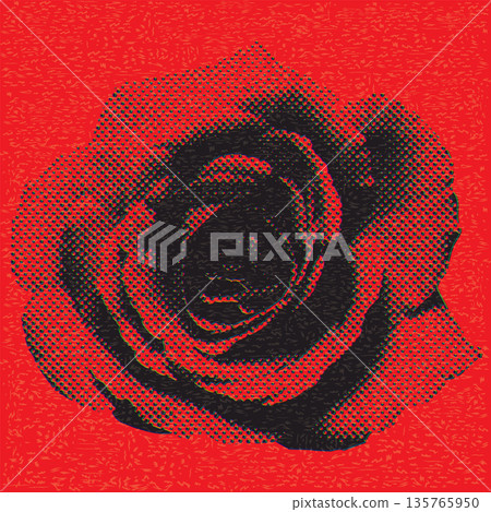 Rose flower halftone screen CMYK colors overlap transparent with riso print effect vector illustration on red background. Valentine's day greeting card template. Rose flower halftone screen CMYK colors overlap transparent with riso print effect vector illustration on red background. Valentine's day greeting card template. 135765950