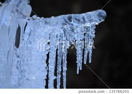 The crystal-like shine of the frost-covered trees The crystal-like shine of the frost-covered trees 135766203