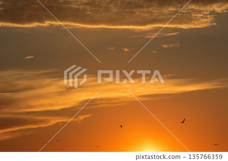 Soft golden sunset clouds over Vlora, Albania on August 2025, with a lone bird gliding across the sky in a peaceful minimalistic scene. Soft golden sunset clouds over Vlora, Albania on August 2025, with a lone bird gliding across the sky in a peaceful minimalistic scene. 135766359