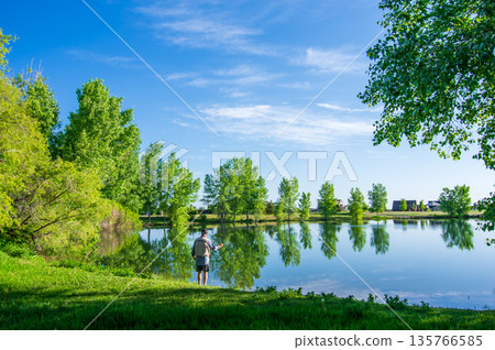 Refreshing scenery (greenery by the water) 135766585