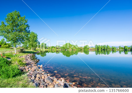 Refreshing scenery (greenery by the water) 135766600