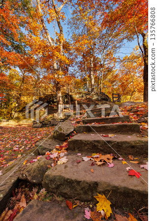Stone Steps Covered in Autumn Leaves Stone Steps Covered in Autumn Leaves 135766808
